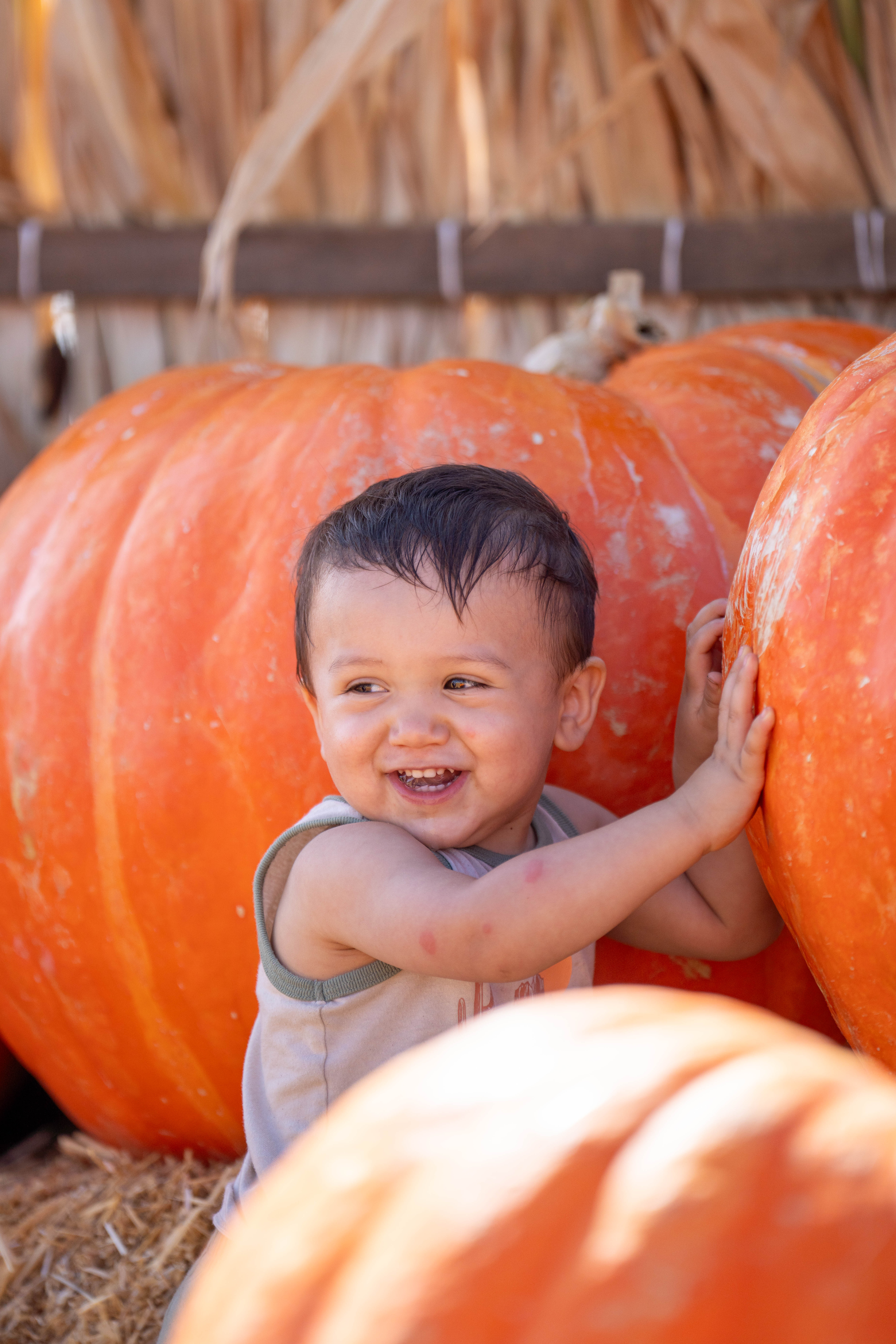 Baby laughing while leaning against a giant pumpkin